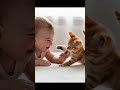 The Magic of Pure Happiness ✨ Baby & Kitten #shorts #cute