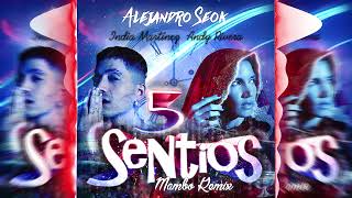 India Martinez, Andy Rivera - 5 SENTÍOS (Alejandro Seok Mambo Remix)