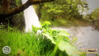 Mustafa Demirci - Özleminle Resimi