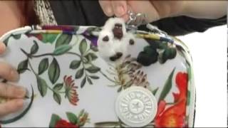 Kipling If - 100 Pens Large Case Sku