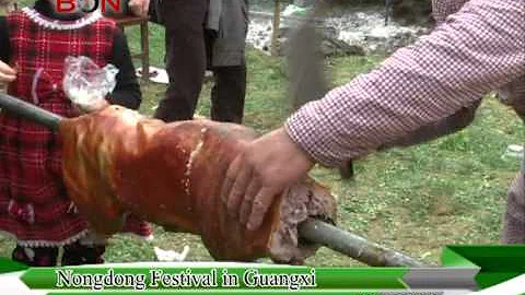 Nongdong Festival in Guangxi - China Travel New Links - Episode 175 - BONTV China