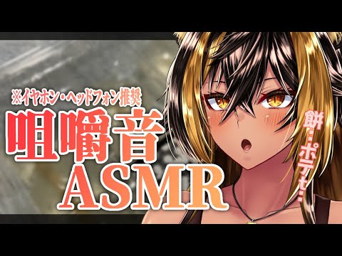 ⚡[ ASMR BlackDio ] 猫族_振替Day_咀嚼!【猫小夜くろえ/Vtuber】