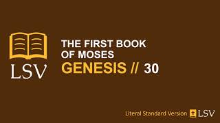 Genesis 30 Lsv Human Reader Jacobs Sons Dan, Napthali, Gad, Asher, Issachar, Zebulun, & Dinah
