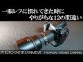#192 【雑談】一眼レフに慣れてきた時にやりがちな12の間違い
