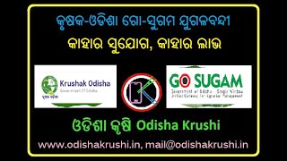 Krushak Odisha online registration I Go Sugam portal I କୃଷକ ଓଡିଶା ଓ ଗୋ-ସୁଗମ ବିଶେଷ I @OdishaKrushi