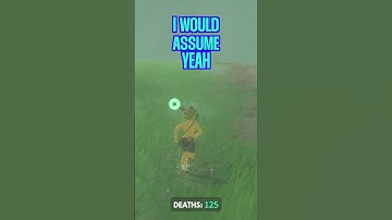 Can you randomly get hit by lightning in Breath of the Wild? #shorts