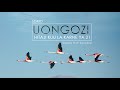UONGOZI Hitaji Kuu La Karne Ya 21 Pastor Carlos Kirimbai UONGOZI Hitaji Kuu La Karne Ya 21 Pastor Carlos Kirimbai