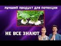 РЕПА — Путь к Улучшению ПОТЕНЦИИ.