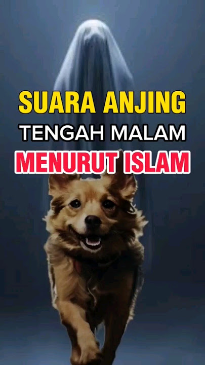 Arti Anjing menggonggong tengah malam menurut islam. #shorts