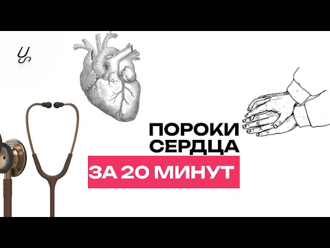 Пороки сердца за 20 минут