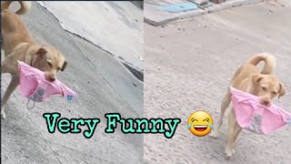 Funny Video Can't find owner 😂