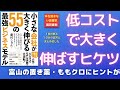 【低コストで大きく伸ばすヒケツ】小さな会社が大きく伸びる 55の最強ビジネスモデル　藤村しゅんさん著を１枚の紙と１０分の音声にまとめました