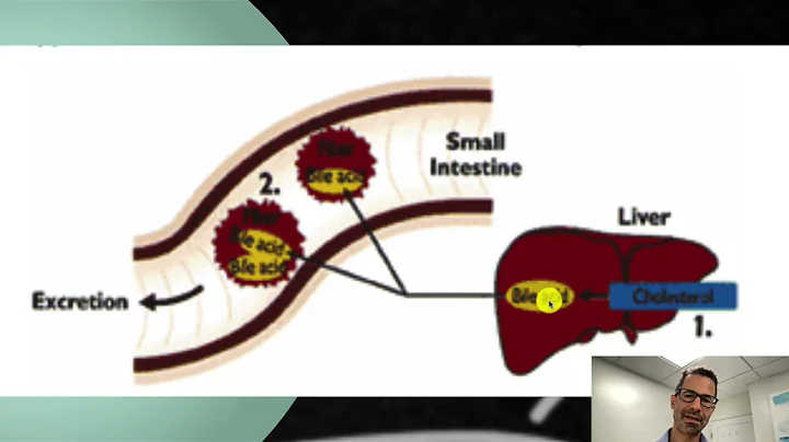 Whole Grains Lower Cholesterol