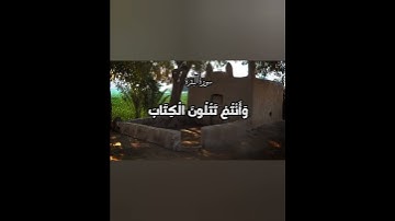 أتأمرون الناس بالبر وتنسون أنفسكم وأنتم تتلون الكتاب أفلا تعقلون |من سورة البقرة