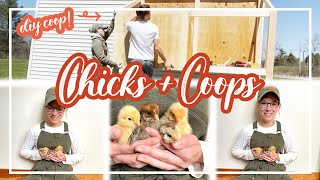 Our chicks are home! Coop build + a gorgeous spring weekend in Maine | DIY Coop Build