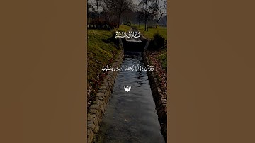 قرآن كريم راحة نفسية 🤍🎧 متابعة للصفحة فضلاً 🥰🤍 #قرآن #قران_كريم