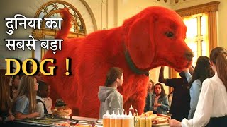 BIGGEST DOG | Movie Explained in hindi | MoBietv Hindi