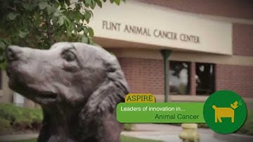 2015 Research at Colorado State University