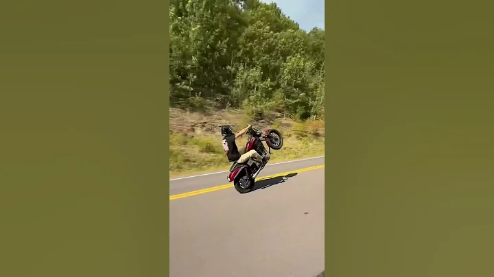 One wheel is better than two #harleydavidson #dyna #harleys #motorcycle #burnout #wheelie #fyp