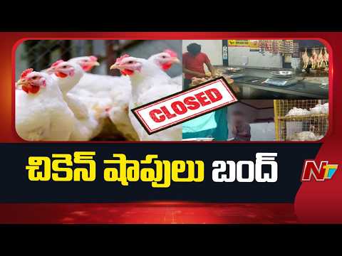 Telangana: రేపటి నుంచి తెలంగాణలో చికెన్ షాపులు బంద్ | NTV Telugu - NTVTELUGU