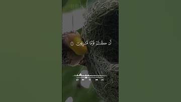 القارئ محمد اللحيدان من سورة الزخرف قرآن كريم تلاوات قرانيه #اكسبلور #القران