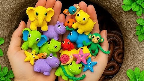 Video bắt con cá,cá trê,con rùa,con ếch,con cua,con gà,cá bảy màu, cá koi hay nhất ! part 17