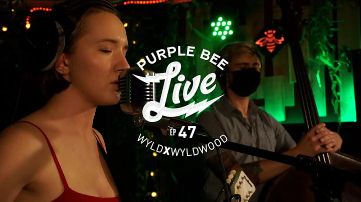 Aubrey Hays Purple Bee Live E47
