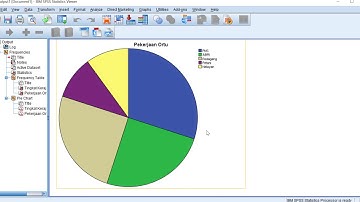 Descriptive Statistics for Nominal and Ordinal Data (SPSS 20)