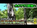 【カブトムシ・クワガタ】 昆虫採集旅行 2018年6月上旬① 前編 「オオクワガタの産地へ」