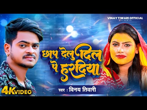 Vinay Tiwari New Song - छाप देलु दिल पे हरदिया -  Vivah Song 2024 | New Bhojpuri Video Song 2024