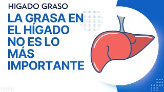 Hígado graso y fibrosis hepática: más allá de la acumulación de grasa