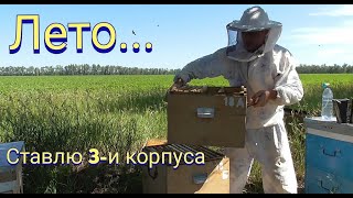 Ставлю третьи корпуса на многокорпусные улья Как я провел лето на пасеке