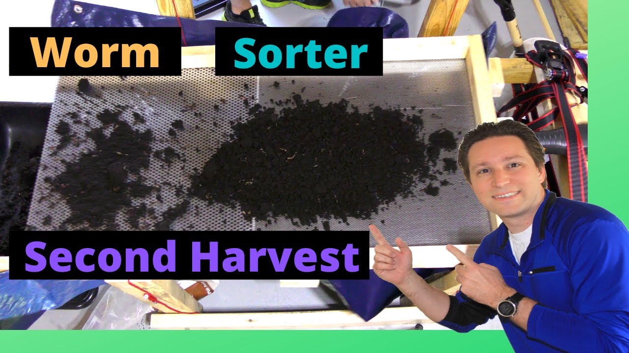 DIY Worm Sorter 2nd Test Harvesting Worm YouTube