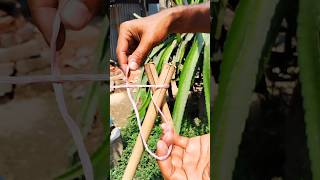 Practical Knot You’ll Use Again and Again