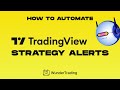A Beginner’s Guide to TradingView Crypto Trading Bots