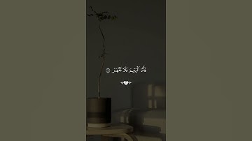 تدبروا الآيات 🤍#قران #احمد_العجمي #quran