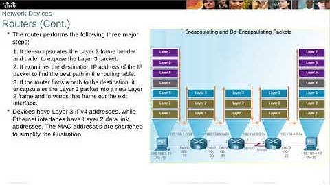 Free CCNA CyberOps   CH5  Network Infrastructure