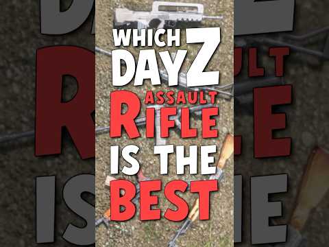 What Is The Best Assault Rifle In DayZ
