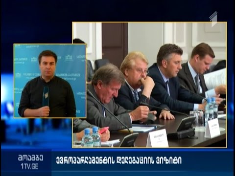 თბილისში ევროპარლამენტის დელეგაციის  ვიზიტი დაიწყო