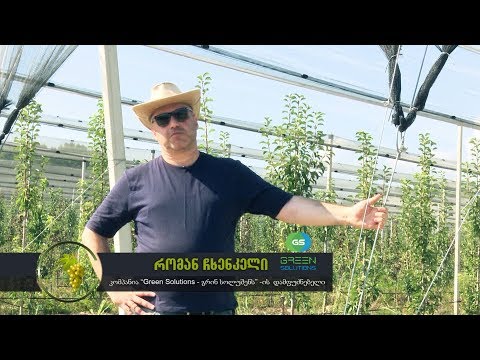 \"რჩევები ფერმერებს\" - აგროTV