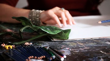 How to Draw a Leaf | Drawing Tutorials