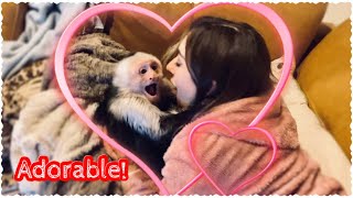 Capuchin Monkey gets TICKLED, HUGGEd and KISSED!