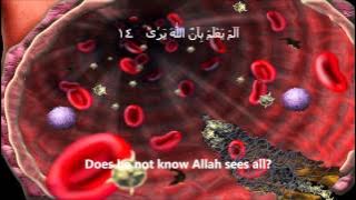 Surah Al-Alaq - Sheikh Sudais - English Translation