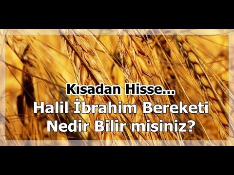 Müthiş Bereket Hikayesi - Halil İbrahim Bereketi - YouTube