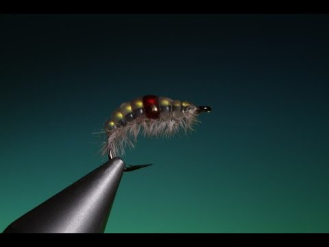 Tying the Melt Glue Gammarus with Barry Ord Clarke