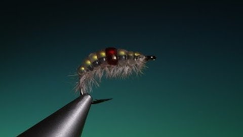 Tying the Melt Glue Gammarus with Barry Ord Clarke