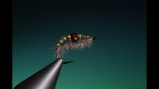 Tying the Melt Glue Gammarus with Barry Ord Clarke