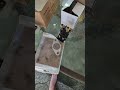 Part 3,parts list,tips etc so far on the cub overhaul 