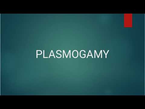 |PLASMOGAMY OF FUNGI||TYPES OF PLASMOGAMY||BY POORNIMA||