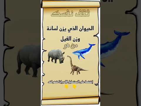ماهو الحيوان الذي يزن لسانة وزن الفيل 